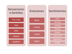 Sensaciones (o Sentidos), Emociones y Sentimientos – Manu Herrán